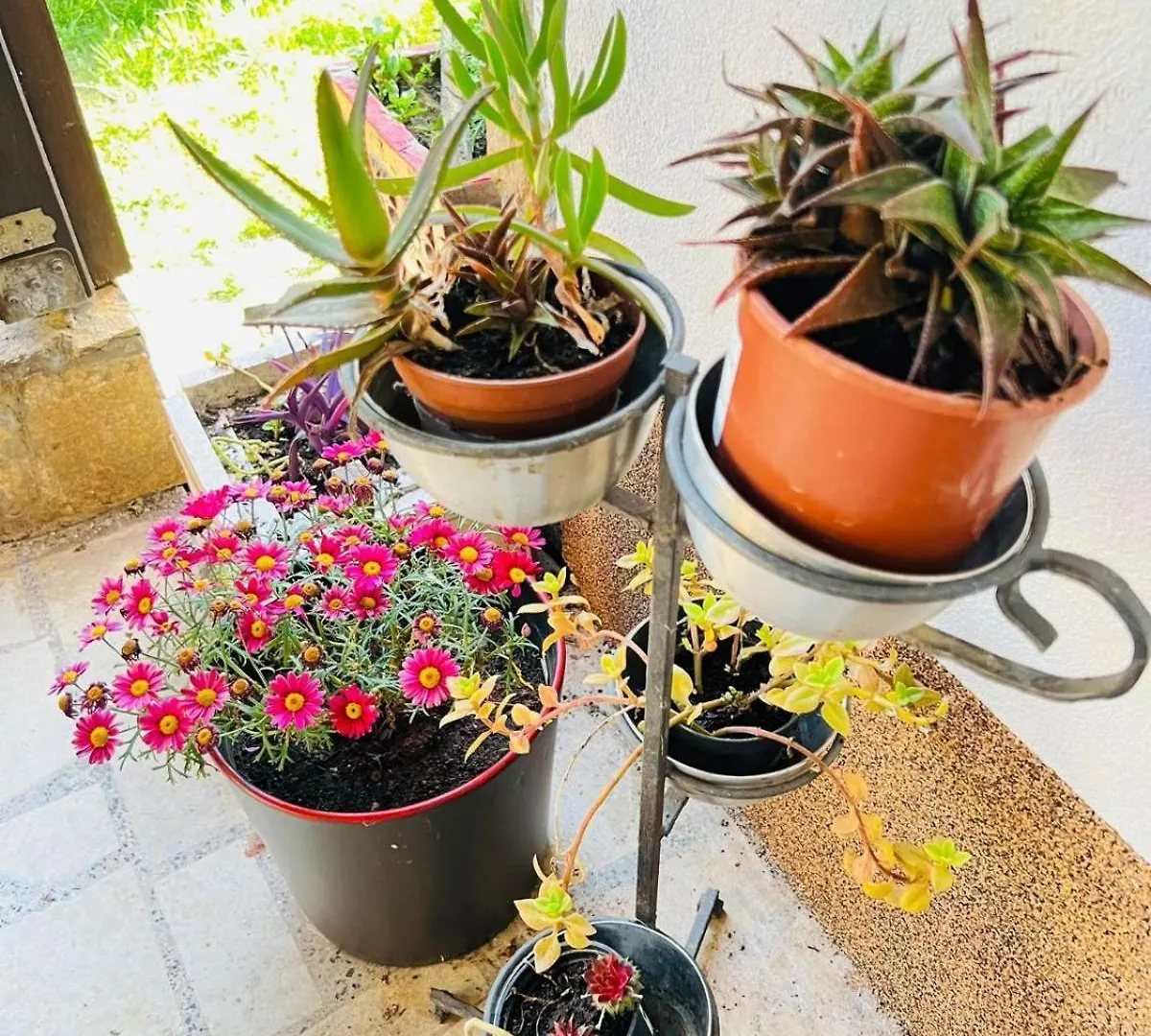 Apartment With Garden And Terrace Póla